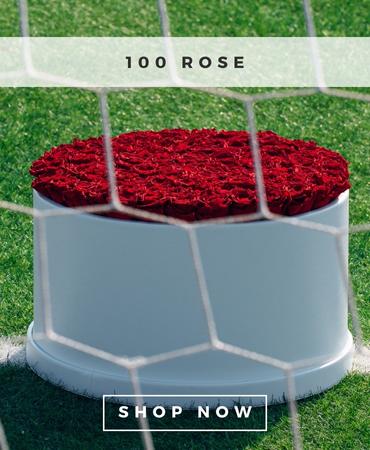 100 rose-1.jpg